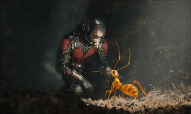 /cine/asi-comenzo-el-rodaje-de-ant-man-and-the-wasp-/59254.html