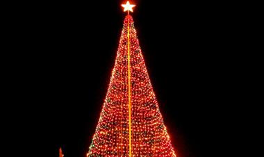 /vidasocial/encienden-las-luces-del-arbol-mas-grande-de-centroamerica/71567.html