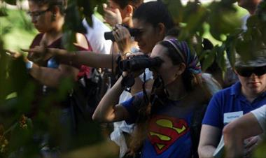 /vidasocial/biomuseo-realiza-jornada-de-avistamiento-de-aves/73089.html