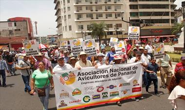 /vidasocial/avicultores-no-quieren-mas-importaciones/80284.html