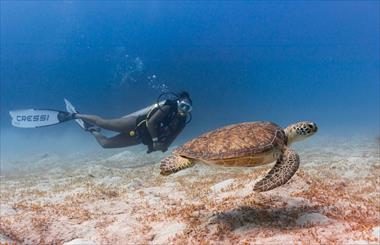 /vidasocial/explorando-barbados-en-las-profundidades-durante-dive-fest-barbados-2026/106968.html