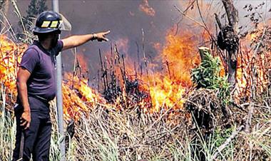 /vidasocial/panama-norte-asegura-a-precaristas-por-incendios/75808.html