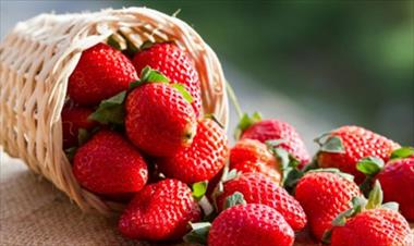 /vidasocial/6-beneficios-del-consumo-regular-de-fresas/45545.html