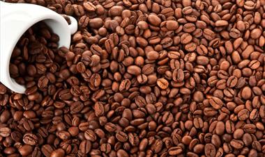 /vidasocial/mida-y-fao-impulsan-la-produccion-del-cafe-robusta/59864.html