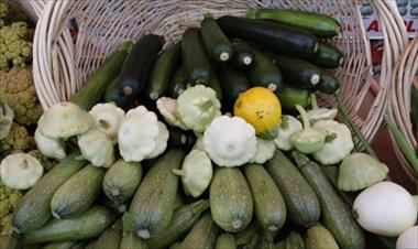 /vidasocial/beneficios-de-incluir-el-calabacin-en-tu-dieta/54984.html