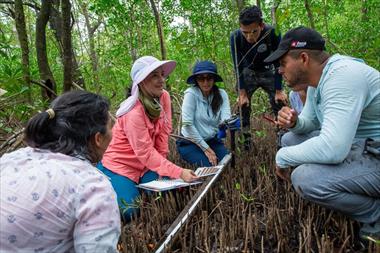 Conociendo las reservas de carbono azul de Panam