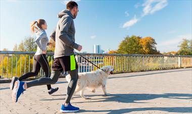 /deportes/la-carrera-caminata-running-with-dogs-esta-de-vuelta/88546.html