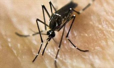 /vidasocial/se-han-reportado-92-casos-de-zika-durante-este-ano/44899.html