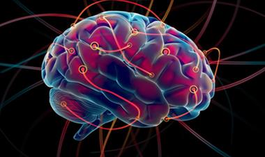 /vidasocial/nuestra-forma-de-vestir-influye-en-el-cerebro/45438.html