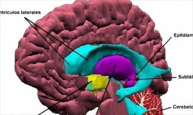/vidasocial/panama-sera-sede-del-simposio-internacional-de-neurointensivo/20612.html