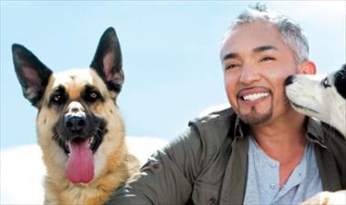 /vidasocial/este-mes-estara-en-panama-cesar-millan-el-lider-de-la-manada/22434.html