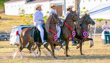 /deportes/concurso-nacional-del-caballo-peruano-de-paso-en-panama/93361.html