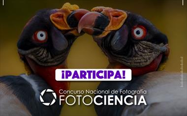/vidasocial/la-senacyt-lanza-el-concurso-nacional-de-fotografia-cientifica-fotociencia-2024/105038.html