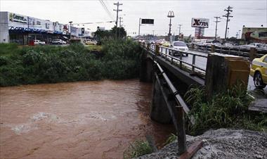 /vidasocial/realizan-investigacion-en-los-manglares-de-juan-diaz/61933.html