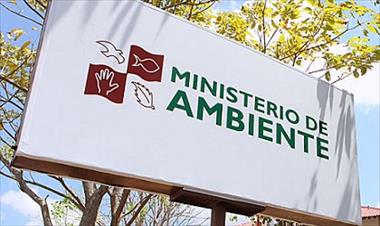 /vidasocial/aumentan-procesos-administrativos-por-delitos-contra-el-ambiente/43371.html