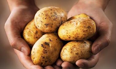 /vidasocial/cosecha-patatas-y-ahorra-dinero/49009.html