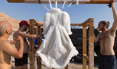 /vidasocial/cristalizo-un-vestido-en-sal-para-una-obra-de-arte/60158.html