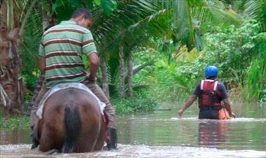 /vidasocial/ministerio-de-ambiente-busca-la-recuperacion-de-la-cobertura-forestal-/58339.html