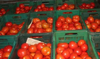 /vidasocial/decomisan-60-cajas-de-tomates-en-renacimiento/49682.html