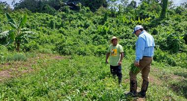 /vidasocial/defensor-del-pueblo-visita-proyectos-locales/103810.html