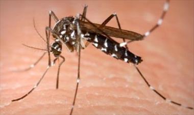 /vidasocial/minsa-realiza-jornada-de-sensibilizacion-contra-el-dengue/46964.html