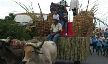 /vidasocial/desfile-de-carretas-en-pese/74882.html