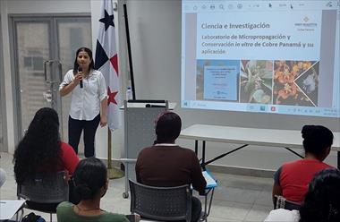 /vidasocial/destacan-la-contribucion-de-cobre-panama-en-la-conservacion-de-la-flora/93771.html