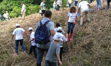 /vidasocial/cuarto-sabado-de-junio-declarado-como-dia-nacional-de-reforestacion/55410.html