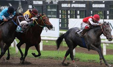 /deportes/diez-confrontaciones-preparadas-para-hoy/82787.html