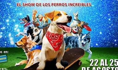 /vidasocial/dogs-el-show-de-los-perros-increibles-pronto-en-panama/21505.html