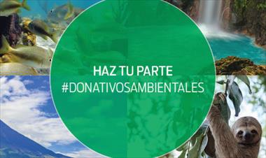 /vidasocial/ford-abre-la-convocatoria-donativos-ambientales-/76365.html