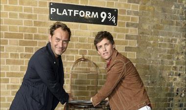 /cine/eddie-redmayne-y-jude-law-celebraron-la-vuelta-a-hogwarts/81140.html