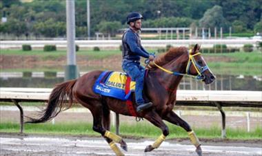 /deportes/ejemplares-nacionales-se-afianzan-en-la-pista/36651.html