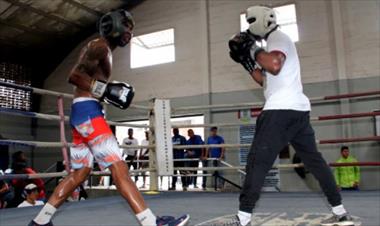 /deportes/el-boxeo-en-panama-busca-volver-a-la-gloria/83473.html