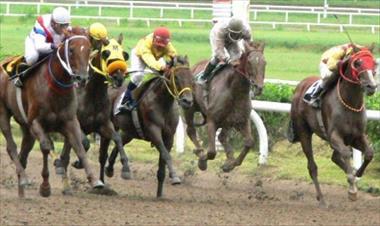 /deportes/el-hipodromo-presidente-remon-ofrece-buenos-dividendos/85972.html