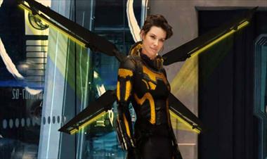 /cine/evangeline-lilly-volvera-a-interpretar-a-la-avispa-/78679.html