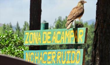 /vidasocial/la-yeguada-una-zona-para-acampar/77978.html