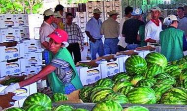 /vidasocial/disminuye-valor-economico-de-las-exportaciones-panamenas/42559.html