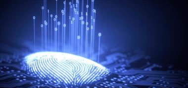 /zonadigital/ey-advierte-amenazas-digitales-en-latinoamerica/105358.html