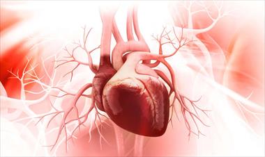 /vidasocial/tratamiento-de-la-falla-cardiaca-medicamentos-innovadores-ofrecen-esperanzas/104798.html