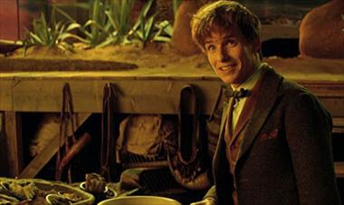 /cine/-fantastic-beast-2-incluira-versiones-adolescentes-de-grindelwald-y-newt/53767.html