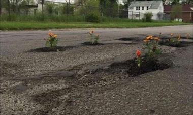 /vidasocial/mujer-uso-los-agujeros-de-las-calles-como-macetas-y-planto-50-flores/49426.html