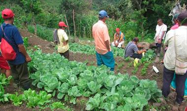 /vidasocial/ford-impulsa-proyectos-que-impactan-positivamente-en-el-medioambiente/58336.html