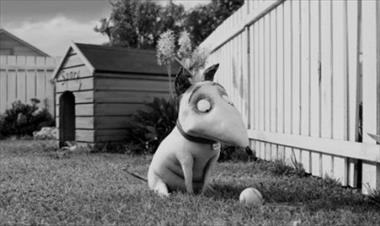 /cine/frankenweenie-resucita-entre-los-muertos-de-la-mano-de-tim-burton-/13475.html