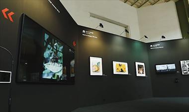 /zonadigital/ganadores-de-concurso-de-huawei-en-el-paris-photo-2018/83802.html