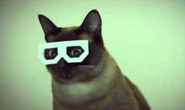 /vidasocial/el-gato-skrillex/22290.html