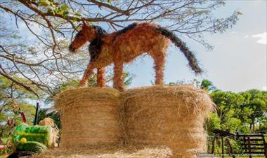 /vidasocial/esculturas-hechas-de-heno-en-cocle/74182.html