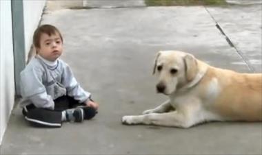 /vidasocial/la-magia-entre-un-nino-y-su-perro/22384.html