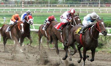 /deportes/hipismo-hoy-arranca-la-tanda-de-ocho-eventos/85036.html