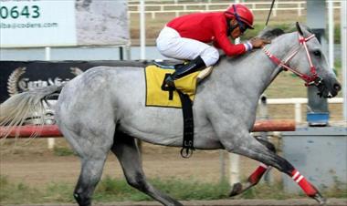 /deportes/cartelera-para-hoy-en-el-hipodromo-presidente-remon/81102.html